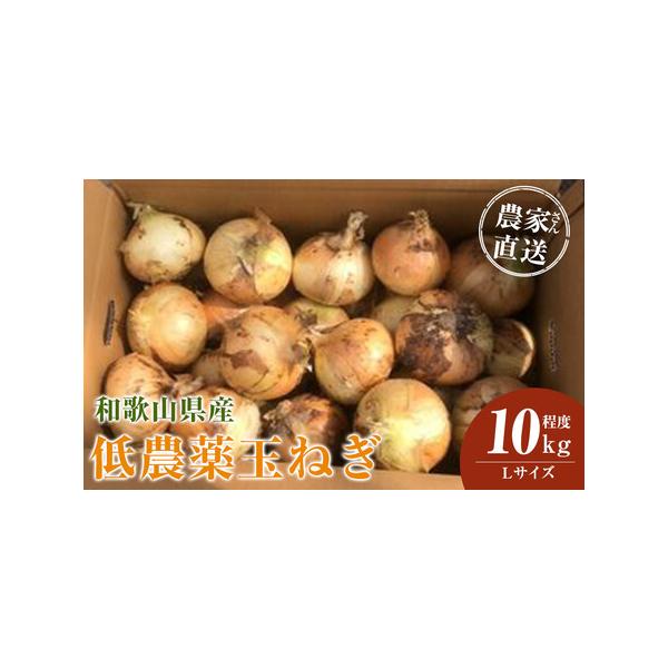 ■ 容量　玉ねぎ  Lサイズ 10kg程度　※発送時期により内容が異なります。種類はお選びいただけません。　【【賞味期限・保存方法】】　新玉ねぎ（4月中旬〜5月下旬頃）　※お届け後、冷蔵庫にて1週間程度（※新玉ねぎは水分量が多いので出来るだ...