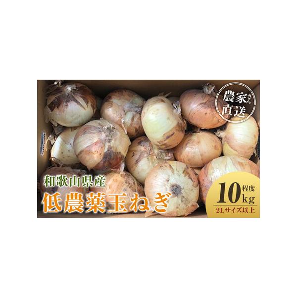 ■ 容量　玉ねぎ ２Lサイズ以上 10kg程度　※発送時期により内容が異なります。種類はお選びいただけません。　【【賞味期限・保存方法】】　新玉ねぎ（4月中旬〜5月下旬頃）　※お届け後、冷蔵庫にて1週間程度（※新玉ねぎは水分量が多いので出来...