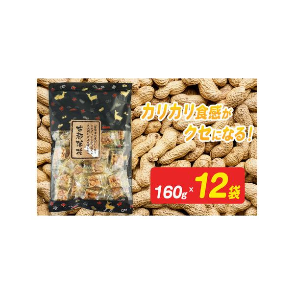 ■ 容量　160ｇ×12袋■ 配送について　寄附ご入金後、1ヶ月以内を目安に発送します　タイプ：【常温】