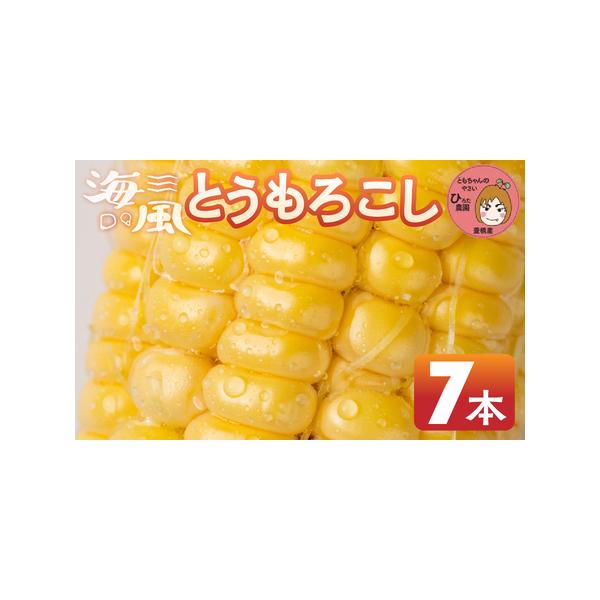 ■ 容量　黄色とうもろこし 7本　　賞味期限は発送日から３日間　※生鮮食品のため、お早めにお召し上がりください■ 配送について　■申込期日：7月10日まで　※申込期日以内にご入金手続きを完了してください。　※お申込みの状況により受付締切日を...