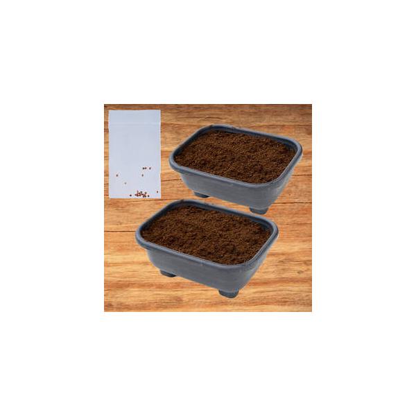 ■ 容量　・花と野菜の培養土：25L（約15kg）　・甘日大根の種　・プランター×2■ 配送について　入金確認後、1ヶ月以内の発送　※お申込みが集中した場合や、年末年始（11月〜翌年2月）を含む繁忙期には、通常よりもお届けまでにお時間をいた...