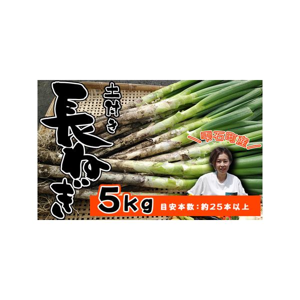 ■ 容量　5kg以上　目安本数：約25本以上　※土付きの状態でお送りします■ 配送について　寄附納入確認後、1ヶ月以内に発送します。　タイプ：【冷蔵】