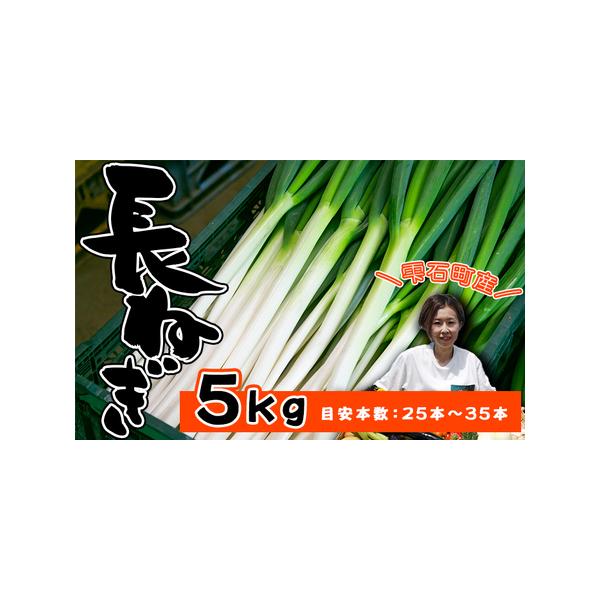 ■ 容量　5kg以上　目安本数：約25?35本　※土が付いていない状態でお送りします■ 配送について　寄附納入確認後、1ヶ月以内に発送します。　タイプ：【冷蔵】