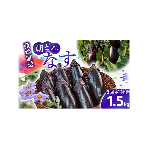 ■ 容量　なす：約1.5kg（18本程度）　3回定期便（計4.5kg）■ 配送について　発送時期: 9月〜6月頃（7月〜8月は発送できません。）　　入金確認後の翌月に初回を発送し、その後毎月1回ずつお届けいたします。　※日時指定は対応できま...