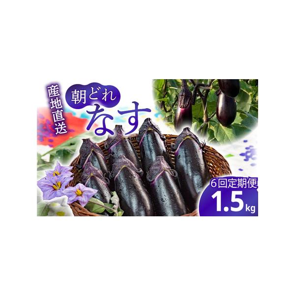 ■ 容量　なす：約1.5kg（18本程度）　6回定期便（計9kg）■ 配送について　発送時期: 9月〜6月頃（7月〜8月は発送できません。）　　入金確認後の翌月に初回を発送し、その後毎月1回ずつお届けいたします。　※日時指定は対応できません...
