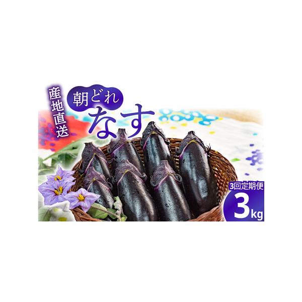 ■ 容量　なす：約3kg（42本程度）　3回定期便（計9kg）■ 配送について　発送時期: 9月〜6月頃（7月〜8月は発送できません。）　　入金確認後の翌月に初回を発送し、その後毎月1回ずつお届けいたします。　※日時指定は対応できませんので...