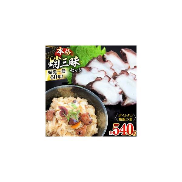 ふるさと納税 たこめし 素 ボイルタコ 蛸 漁師飯セット (タコ飯の素 2P / ボイルタコ 300g) [めぐみ屋 長崎県 平戸市 hr42bgy400033] 長崎県平戸市