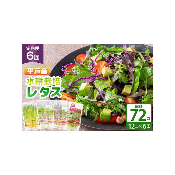 ■ 容量　■内容量　■6回定期便　1回のお届け内容　 ・水耕栽培レタス 12個　  （フレアベル×3個、フリルアイス×3個、いろどりレタス×3個、フレアロゼ×3個）　　■賞味期限　到着後なるべくお早めにお召し上がりください。　※袋に入れたま...