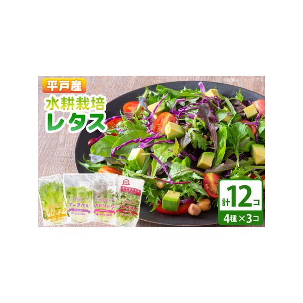 ■ 容量　■内容量　・水耕栽培レタス 12個　 （フレアベル×3個、フリルアイス×3個、いろどりレタス×3個、フレアロゼ×3個）　　■賞味期限　到着後なるべくお早めにお召し上がりください。　※袋に入れたまま冷蔵庫で保管すると長持ちします。■...