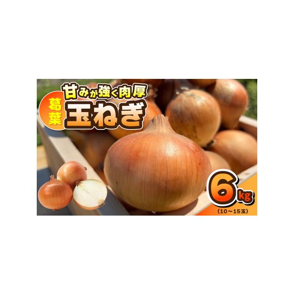 ■ 容量　葛葉玉ねぎ 6kg（10〜15玉）　※画像はイメージです。■ 配送について　2026年4月中旬から6月末までの期間にご寄附の受付順に発送予定　※天候により収穫・発送予定が前後する場合がございますのであらかじめご了承ください