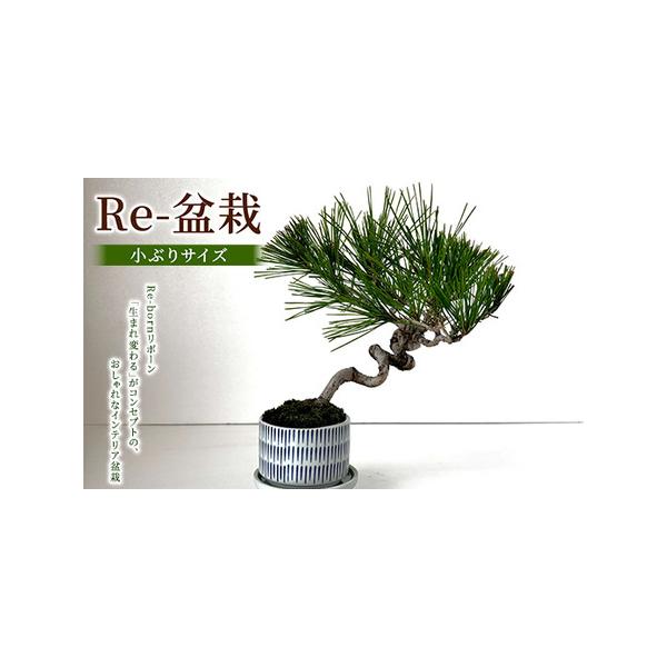 ■ 容量　1個■ 配送について　60日以内に発送いたします