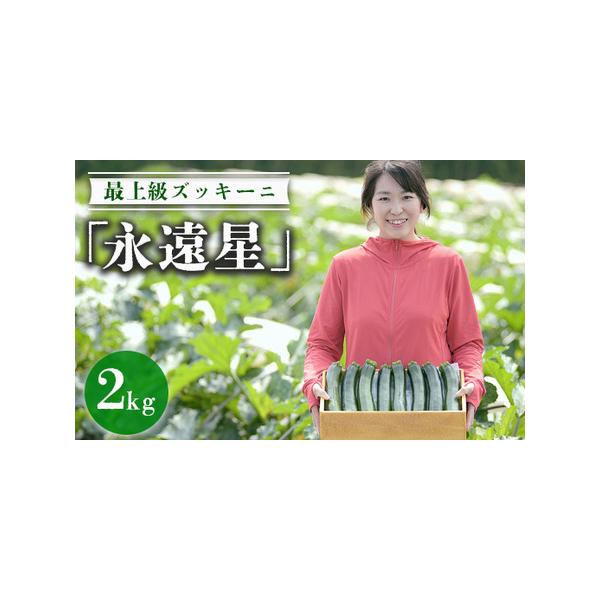 ■ 容量　ズッキーニ2kg■ 配送について　2026年5月上旬〜6月下旬頃に順次発送予定　タイプ：【冷蔵】
