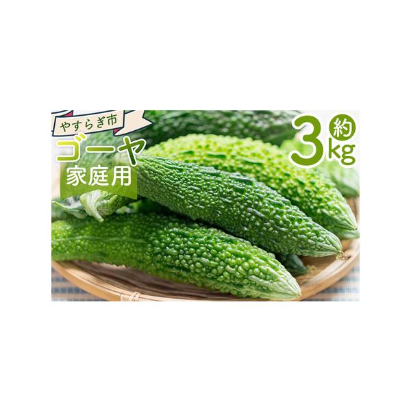 ■ 容量　【容量】　■家庭用 ゴーヤ ３ｋｇ　　【賞味期限】　?４月５日■ 配送について　10月〜4月　※収穫の状況により、配送が前後したり、期間が空く場合があります。ご了承ください。　タイプ：【冷蔵】