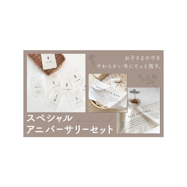 furunavi_1737554