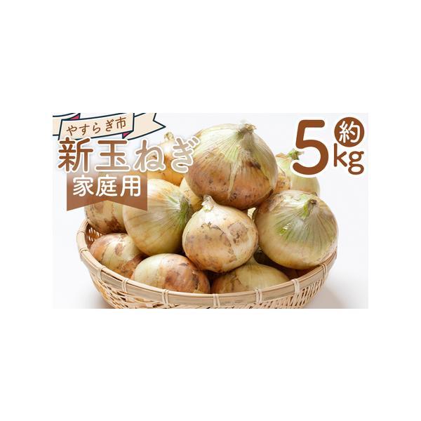 ■ 容量　【容量】　■家庭用 新玉ねぎ ５ｋｇ　　【賞味期限】　発送日含め1週間程度　到着後はお早めにお召し上がりください■ 配送について　3〜4月　※収穫の状況により、配送が前後したり、期間が空く場合があります。ご了承ください。　タイプ：...