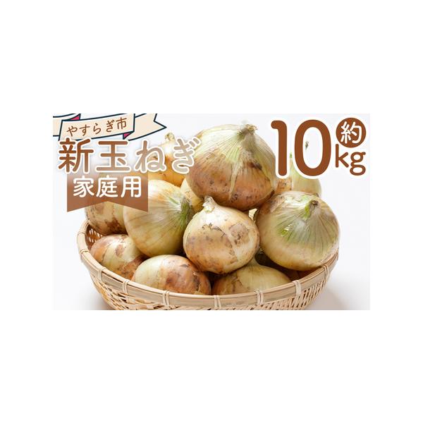 ■ 容量　【容量】　■家庭用 新玉ねぎ １０ｋｇ　　【賞味期限】　発送日含め1週間程度　到着後はお早めにお召し上がりください■ 配送について　3〜4月　※収穫の状況により、配送が前後したり、期間が空く場合があります。ご了承ください。　タイプ...
