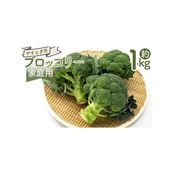 ■ 容量　【容量】　■家庭用 ブロッコリー １ｋｇ　　【賞味期限】　発送日含め1週間程度　到着後はお早めにお召し上がりください■ 配送について　11月末〜5月中旬　※３月〜４月下旬は配送がありませんのでご了承ください。　※収穫の状況により、...