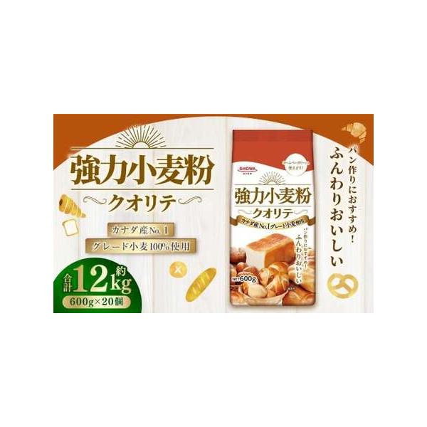 ■ 容量　600g×20個■ 配送について　寄附納入確認後、一ヶ月以内に発送します。　タイプ：【常温】