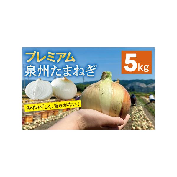 ■ 容量　プレミアム泉州たまねぎ 5kg（10〜15玉）　※画像はイメージです。■ 配送について　2026年5月〜7月の期間で寄附受付順に発送予定　タイプ：【常温】