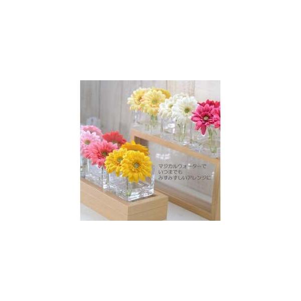 ■ 容量　【ホワイト】　幅、奥行き：10cm　高さ 約：11cm■ 配送について　寄附確認後、30営業日以内に発送予定　年末年始（12月・1月）は寄附確認後、60営業日以内に発送予定　※天候や発送状況により多少前後する場合がございますので、...