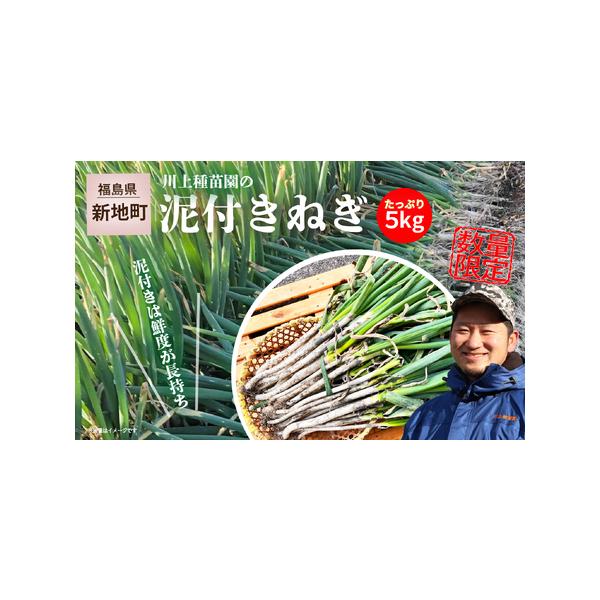 ■ 容量　泥付き5kg１箱■ 配送について　寄附入金確認後、２週間程度で発送予定　タイプ：【常温】