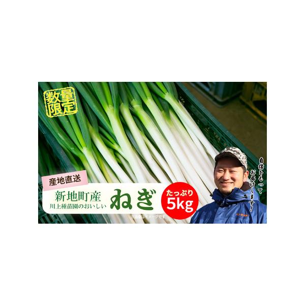 ■ 容量　5kg入り1箱■ 配送について　寄附入金確認後、２週間程度で発送予定　タイプ：【常温】