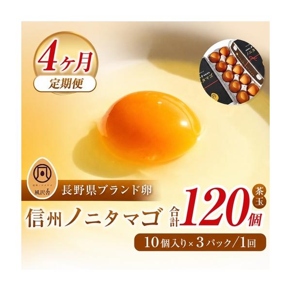 ふるさと納税 【４ヵ月定期配送】信州ノニタマゴ　茶玉３０個  長野県松本市