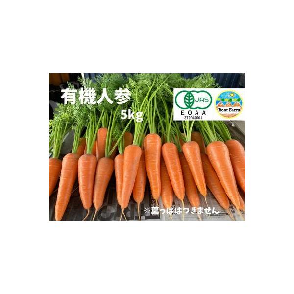 ■ 容量　人参約5kg（25本〜40本前後）■ 配送について　ご入金確認後、約1ヶ月程度で発送します。　タイプ：【常温】