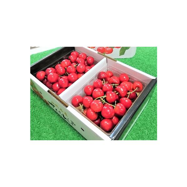 ■ 容量　紅秀峰１ｋｇ（５００ｇ×２パック）秀品　２Ｌサイズ　バラ詰め　※天候により出荷時期や規格（数、サイズ、品種等）を変更する場合がございます。■ 配送について　２０２６年６月中旬〜６月下旬迄　※ご不在日が多く配達が困難な場合、お礼品や...