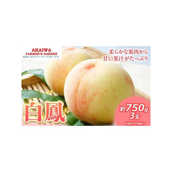 ■ 容量　白鳳（白桃）約750g 3玉／1箱　※お届け日、時間帯の指定は申し訳ないですが、お受けできません。　■ 配送について　2026年7月上旬〜2026年7月中旬　　タイプ：【常温】
