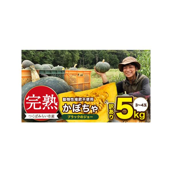 ■ 容量　10kg（6〜8玉）■ 配送について　寄附入金確認後、2〜3週間程度で発送　常温配送　タイプ：【常温】