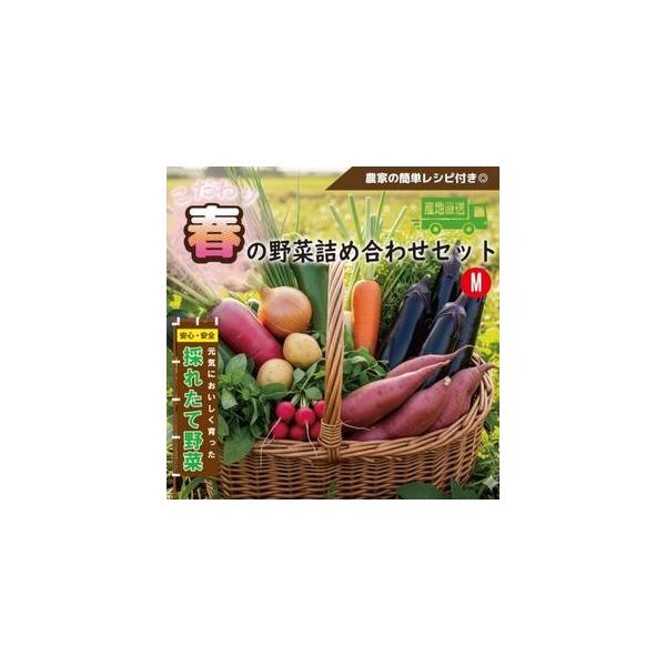 ■ 容量　※上記に記載■ 配送について　2026-04-15〜2026-07-31　タイプ：【冷蔵】