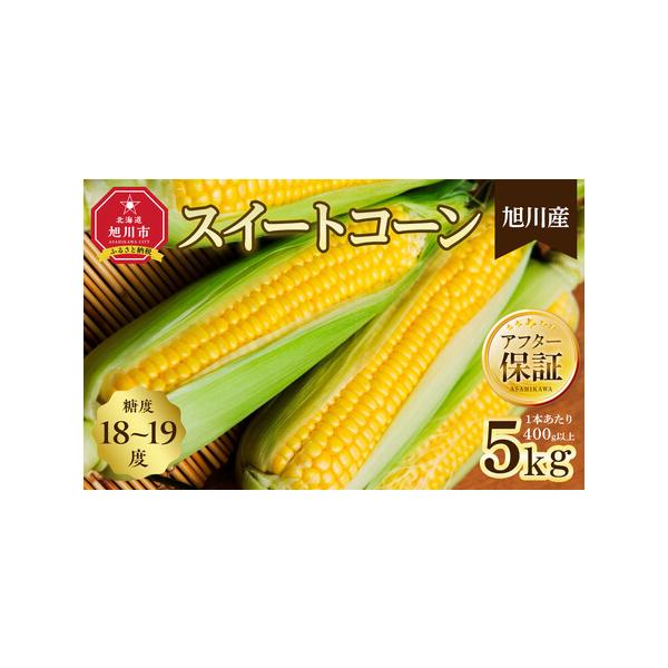 ■ 容量　北海道旭川産スイートコーン約5kg(10本)　※1本400g以上　【賞味期限】　到着後3日以内にお召し上がりください■ 配送について　2026年8月10日前後から出荷開始予定　【受付期間】　〜2026年8月31日　タイプ：【冷蔵】