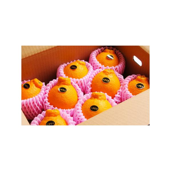 ■ 容量　3月：不知火 約2kg（4〜7個）　　　4月：肥後グリーンメロン2玉（約1.5kg×2玉）　5月：植木すいか Lサイズ1玉（5kg以上）■ 配送について　寄附確認後、2026年3月より毎月1回（計3回）お届けします。　タイプ：【常...