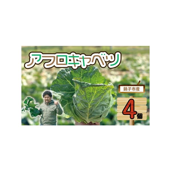 ■ 容量　【容量】　4玉　　【原材料】　千葉県産キャベツ　　【賞味期限】　お届日から3日間　　【アレルギー】　なし　　【保存方法】　冷蔵保存■ 配送について　※北海道、沖縄、離島への発送は不可となっております。　※日付指定は承れません。　※...