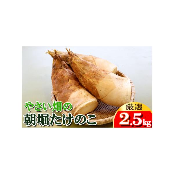 ■ 容量　【容量】　生たけのこ 2.5kg　　【賞味期限】　到着後、お早めにお召し上がりください。■ 配送について　3月中旬〜4月上旬から順次発送　タイプ：【冷蔵】