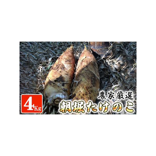 ■ 容量　【容量】　「朝堀たけのこ」4本〜8本(一本当たり400ｇ〜1200gサイズ）入ります　米ぬか入り　　【賞味期限】　到着後、お早めにお召し上がりください。■ 配送について　4月中旬から順次発送　タイプ：【冷蔵】
