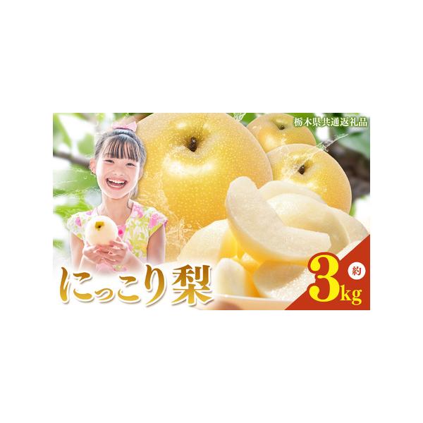 ■ 容量　約3kg■ 配送について　※沖縄・北海道・離島の発送不可 ※画像はイメージです。　※個数は、天候により大きさが左右されるため目安となります。　※2026年10月中旬頃から順次発送となります。　※お選びいただいた品種によって異なりま...