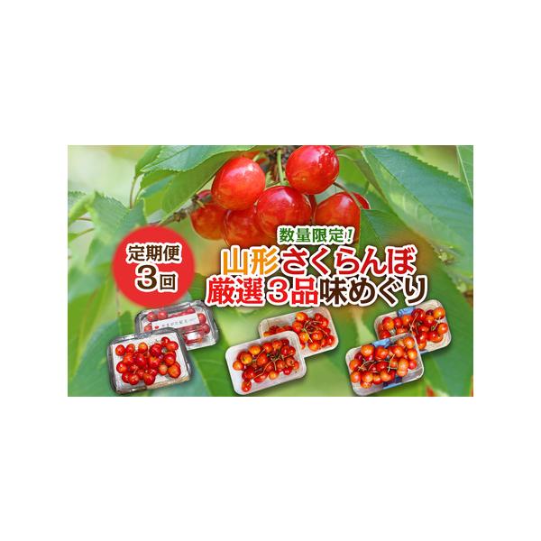 ■ 容量　【令和8年産】　1回目：さくらんぼ佐藤錦 Lサイズ180g×2パック(6月5日〜6月19日)冷蔵　　2回目：さくらんぼ やまがた紅王 2Lサイズ180g×2パック(6月20日〜6月30日)冷蔵　　3回目：さくらんぼ紅秀峰 Lサイズ...