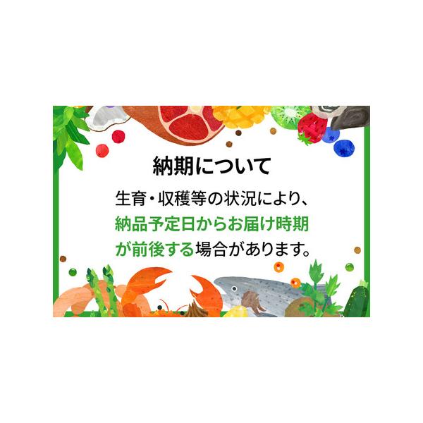 furunavi_1752704_1_d_20260306110947