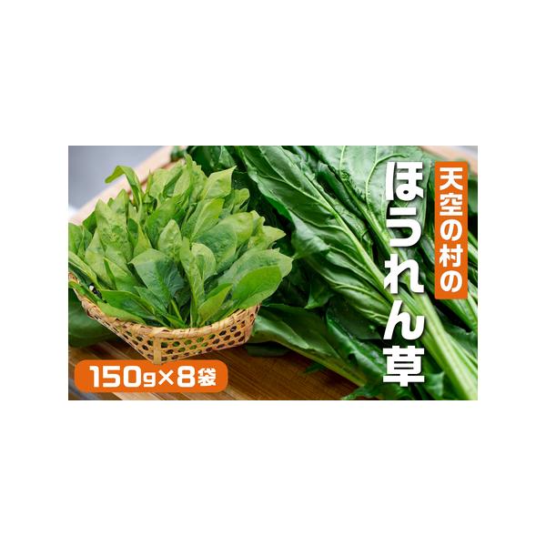 ■ 容量　朝採れ飛騨ほうれん草　150g×8個■ 配送について　令和8年 6月上旬〜10月末ごろまで収穫次第順次発送します。　時期によって最適な配送方法でお届けします。　タイプ：【常温】【冷蔵】