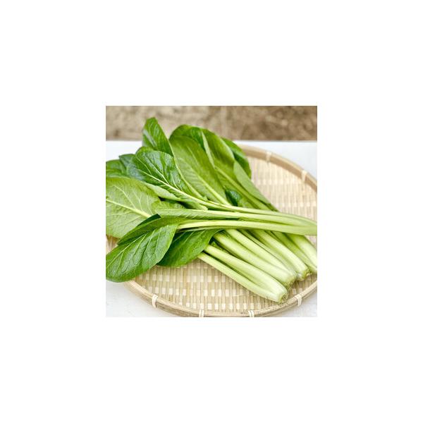 ■ 容量　小松菜 900g　岡山市内産（5条1号）　原産国／製造国：日本　産地（都道府県）：岡山　製造者：株式会社くまベジ　岡山市東区西祖１３５−３　【賞味期限・消費期限】　賞味期限：製造日から7日未満　消費期限：製造日から7日未満　【保存...