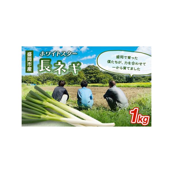 ■ 容量　岩手県盛岡市産長ネギ 1kg　品種 ホワイトスター　■ 配送について　2025年11月上旬〜2026年3月下旬　　タイプ：【常温】