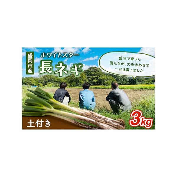 ■ 容量　岩手県盛岡市産土付き長ネギ 3kg　品種 ホワイトスター　■ 配送について　2025年11月上旬〜2026年3月下旬　　タイプ：【常温】
