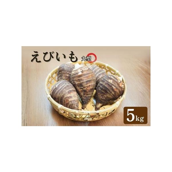■ 容量　えびいも 丸型 5kg（12〜30個入）■ 配送について　入金確認後、順次発送　　※2025年12月9日以降の寄付は2026年1月以降発送　※発送不可期間：2025年12月15日〜2026年1月10日　※状況によりお届けに遅れが生...