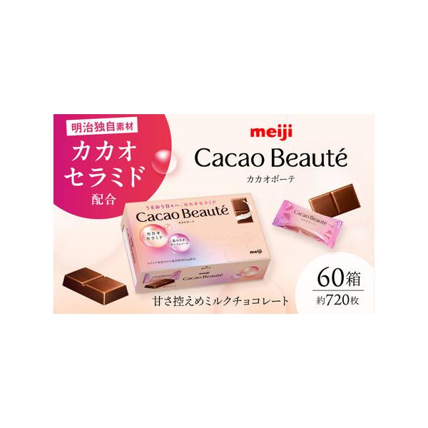 ふるさと納税 うるおう日々へ、カカオセラミド カカオボーテ 60g×60箱 約720枚 チョコレート[AOAA069] 大阪府高槻市