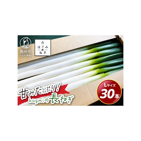 ■ 容量　■名称　hugmiの長ねぎ 3kg Lサイズ　　■内容量　奥州市産長ネギ 3kg　Lサイズ:30本　　■サイズ　Lサイズ　約1.7cｍ以上〜約2.2cｍ未満　　■産地　岩手県奥州市　　■賞味期限　生鮮食品の為なるべく早めにお召し上...