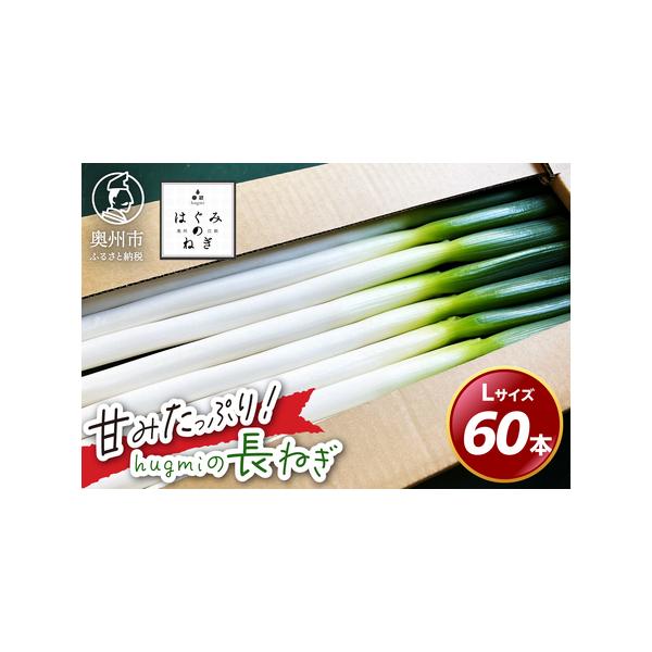 ■ 容量　■名称　hugmiの長ねぎ 6kg (3kg×2個) Lサイズ　　■内容量　奥州市産長ネギ 3kg×2個　Lサイズ:30本×2　　■サイズ　Lサイズ　約1.7cｍ以上〜約2.2cｍ未満　　■産地　岩手県奥州市　　■賞味期限　生鮮食...
