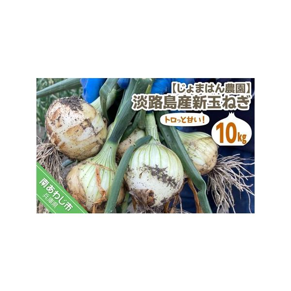 ■ 容量　新玉ねぎ10kg■ 配送について　配送日時指定はできません。　タイプ：【常温】