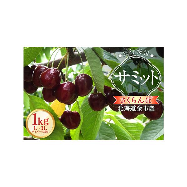 ■ 容量　さくらんぼ「サミット」（L〜3Lサイズバラ詰め）500ｇ×2パックを段ボール1箱に梱包して冷蔵便にてお送りいたします。　■ 配送について　2026年7月上旬頃〜7月中旬頃　※天候により前後する場合がございます。　タイプ：【冷蔵】